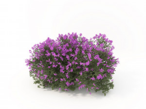 realistic shrub bush flower set 3D Model