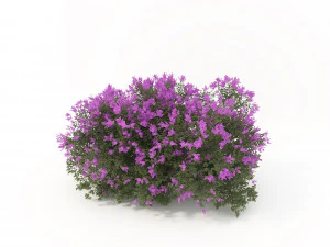 realistic shrub bush flower set 3D Model