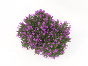 realistic shrub bush flower set 3D Model
