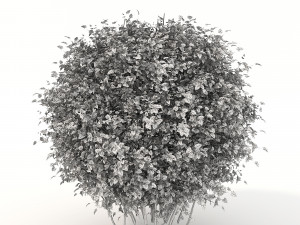 realistic shrub bush flower set 3D Model