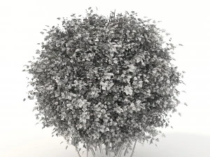 realistic shrub bush flower set 3D Model