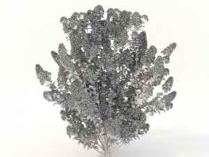 realistic shrub bush flower set 3D Model