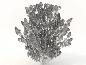 realistic shrub bush flower set 3D Model