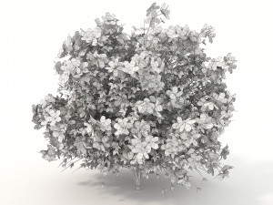 realistic shrub bush flower set 3D Model