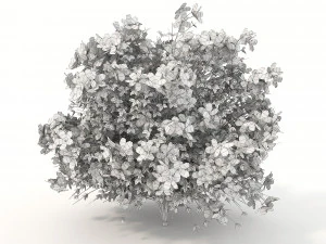 realistic shrub bush flower set 3D Model