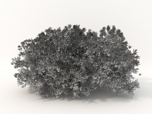 realistic shrub bush flower set 3D Model