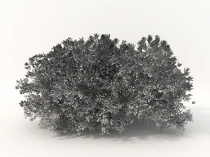 realistic shrub bush flower set 3D Model