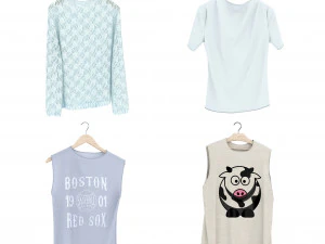 shirt on hanger 2 3D Model