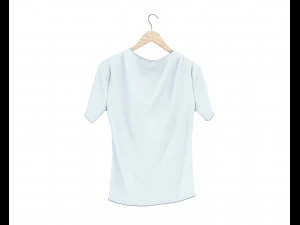 shirt on hanger 2 3D Model