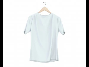 shirt on hanger 2 3D Model