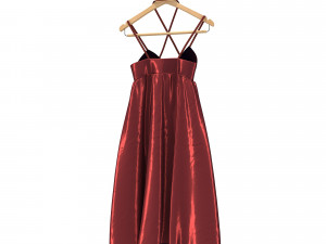 dress on hanger 4 3D 模型