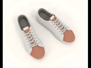 Shoes Collection 9 3D Model