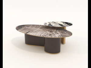 Luxury Chair and Coffee Table Modelo 3D