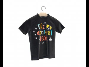 Shirt on Hanger 3 3D Model