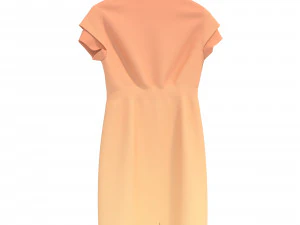 Dress on Hanger 8 3D Model