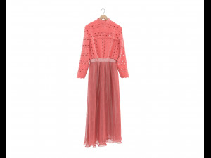 Dress on Hanger 9 3D 모델