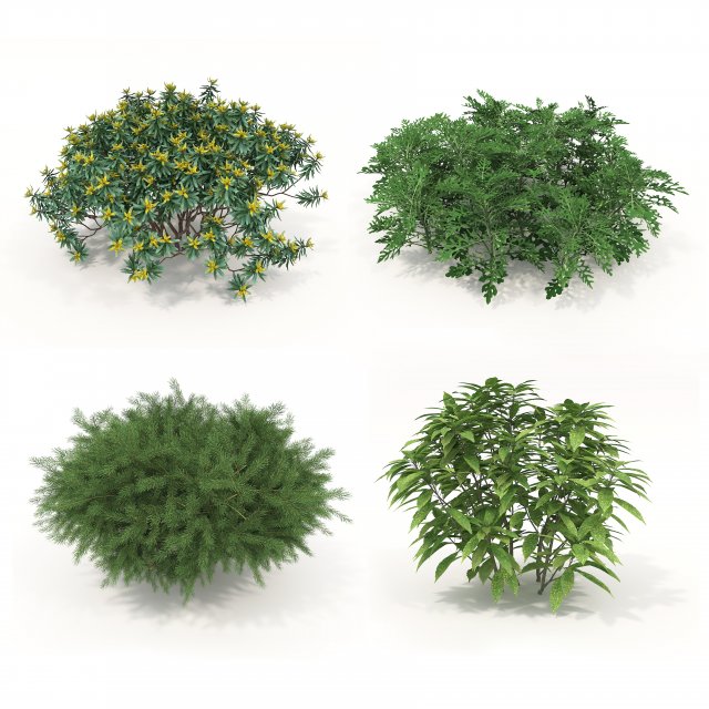 Realistic Shrub Bush Set Model 3D .c4d .max .obj .3ds .fbx .stl .blend 