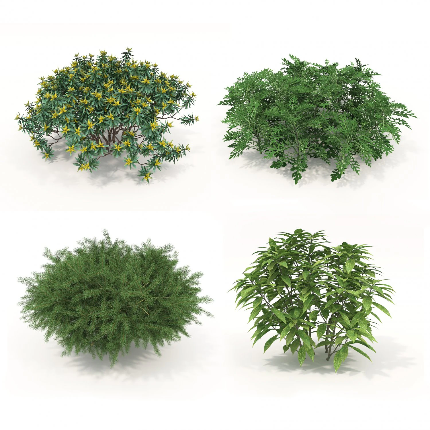 Realistic Shrub Bush Set 3D Model .c4d .max .obj .3ds .fbx .stl .blend 