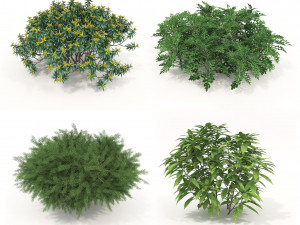 Realistic Shrub Bush Set 3D 모델