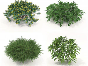 Realistyczny zestaw krzew&oacute;w Model 3D