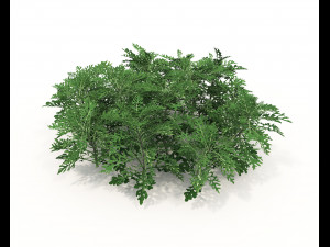 Realistic Shrub Bush Set Model 3D