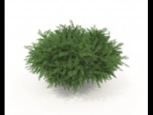 Realistic Shrub Bush Set 3D Model