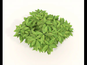 Realistic Shrub Bush Set 3D Model