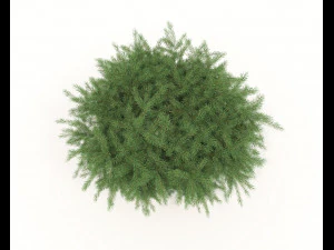 Realistic Shrub Bush Set 3D Model