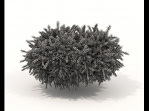 Realistic Shrub Bush Set Model 3D