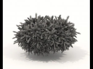 Realistic Shrub Bush Set 3D Model