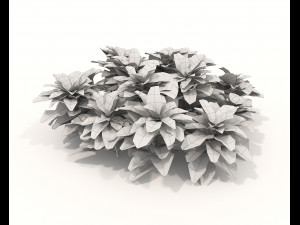 Realistic Shrub Bush Set Model 3D
