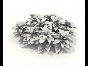 Realistic Shrub Bush Set 3D Model