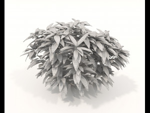 Realistic Shrub Bush Set Model 3D