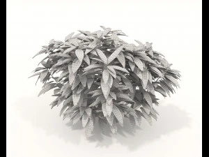 Realistic Shrub Bush Set 3D Model