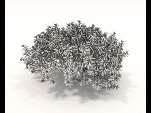 Realistic Shrub Bush Set 3D Model