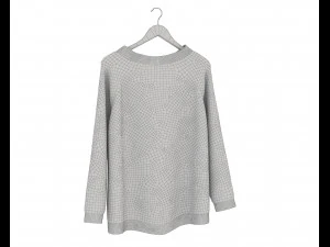 Shirt on Hanger 5 3D Model