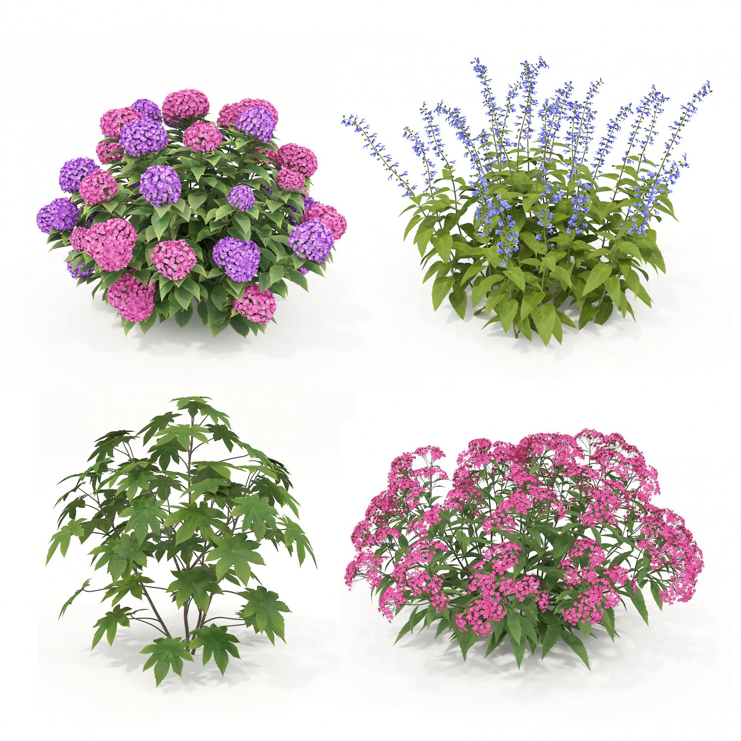 Realistic Shrub Bush Set 2 3D Model .c4d .max .obj .3ds .fbx .stl .blend 