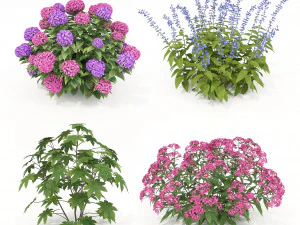 Conjunto de arbustos realistas 2 Modelo 3D