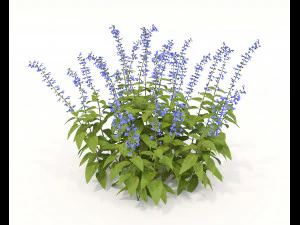 Realistic Shrub Bush Set 2 3D Model