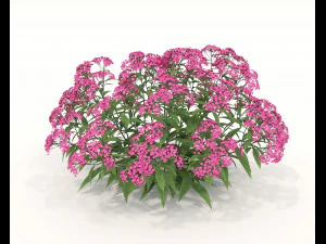 Realistic Shrub Bush Set 2 3D Model