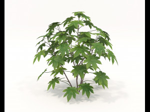 Realistic Shrub Bush Set 2 Modelo 3D