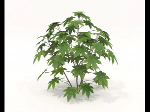 Realistic Shrub Bush Set 2 3D Model