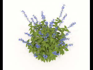 Realistic Shrub Bush Set 2 Modelo 3D
