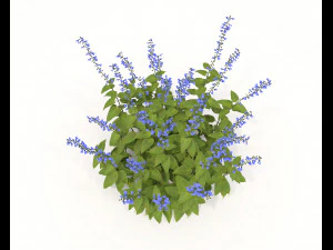 Realistic Shrub Bush Set 2 3D Model