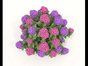 Realistic Shrub Bush Set 2 3D Model