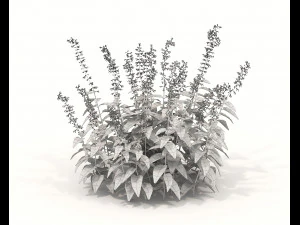 Realistic Shrub Bush Set 2 3D Model