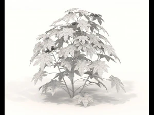Realistic Shrub Bush Set 2 3D Model