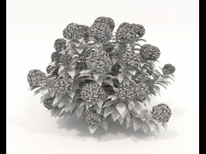 Realistic Shrub Bush Set 2 Modelo 3D