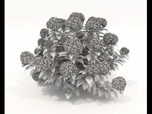 Realistic Shrub Bush Set 2 3D Model