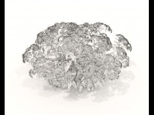 Realistic Shrub Bush Set 2 Modelo 3D